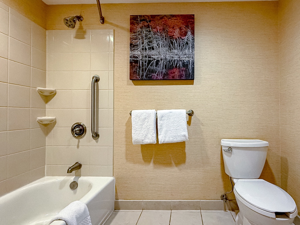 Courtyard Lake Placid - Suite SalledeBain 02