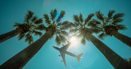 Avion au-dessus des palmiers
