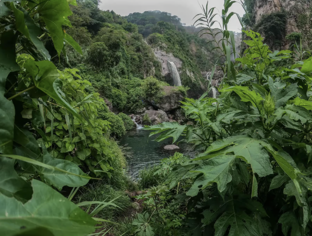 Capture d’écran, le 2026 01 23 à 13.46.49