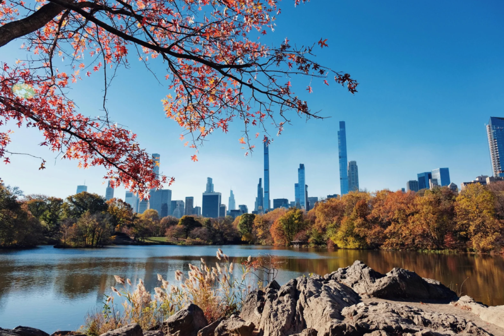 New York City in fall from central park