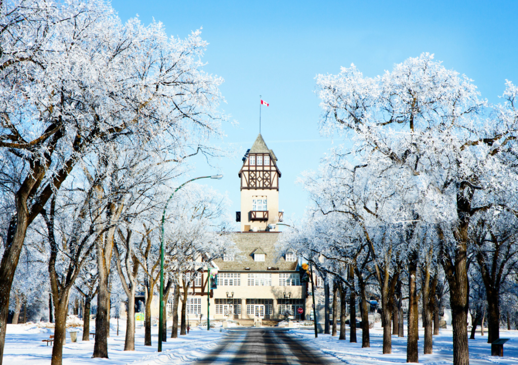 Winnipeg park in winter