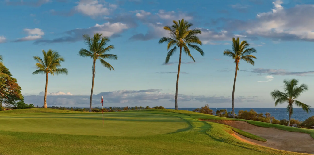 Access Rewards Golf Course - final green with palm trees and ocean