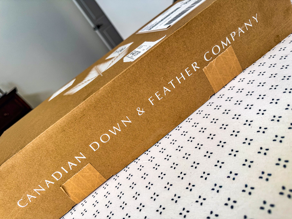 CDFC - linen
