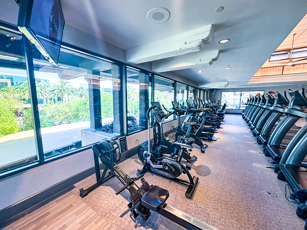Appareils de musculation avec vue sur le Strip au gym du MGM Grand