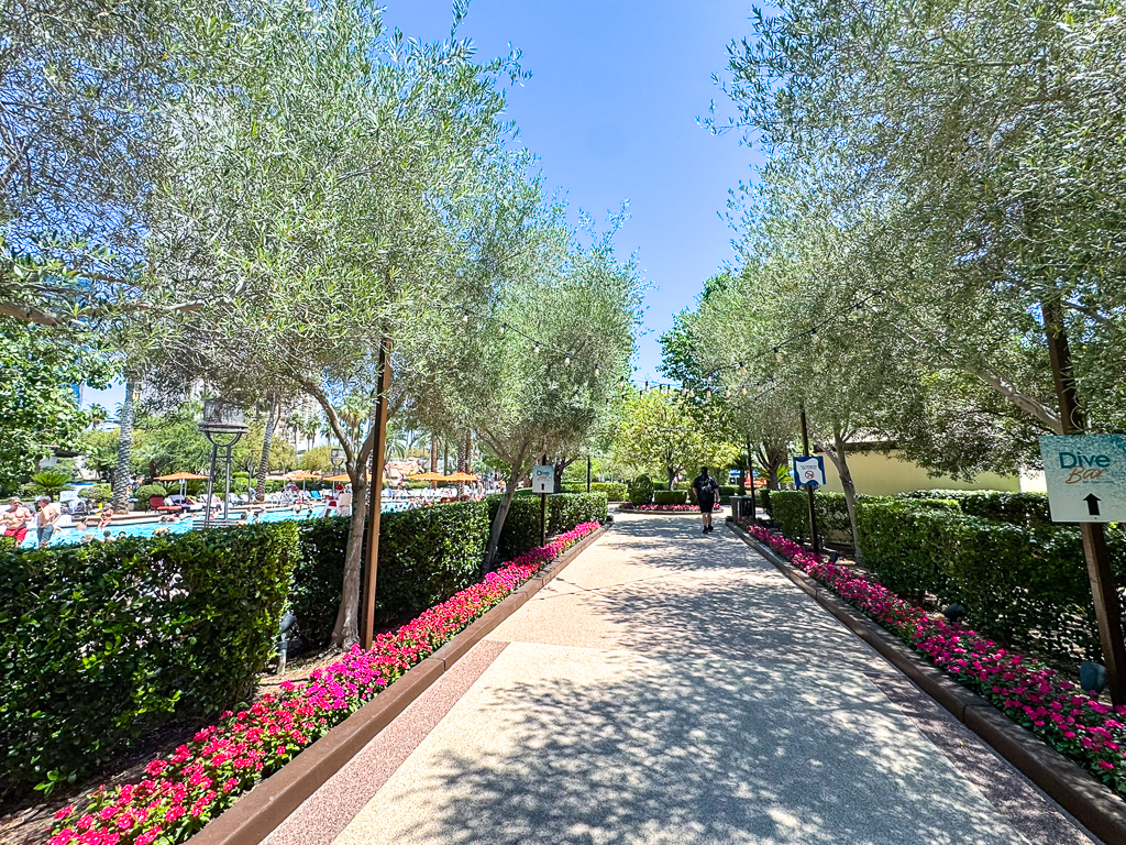 Allée fleurie menant au complexe de piscines du MGM Grand