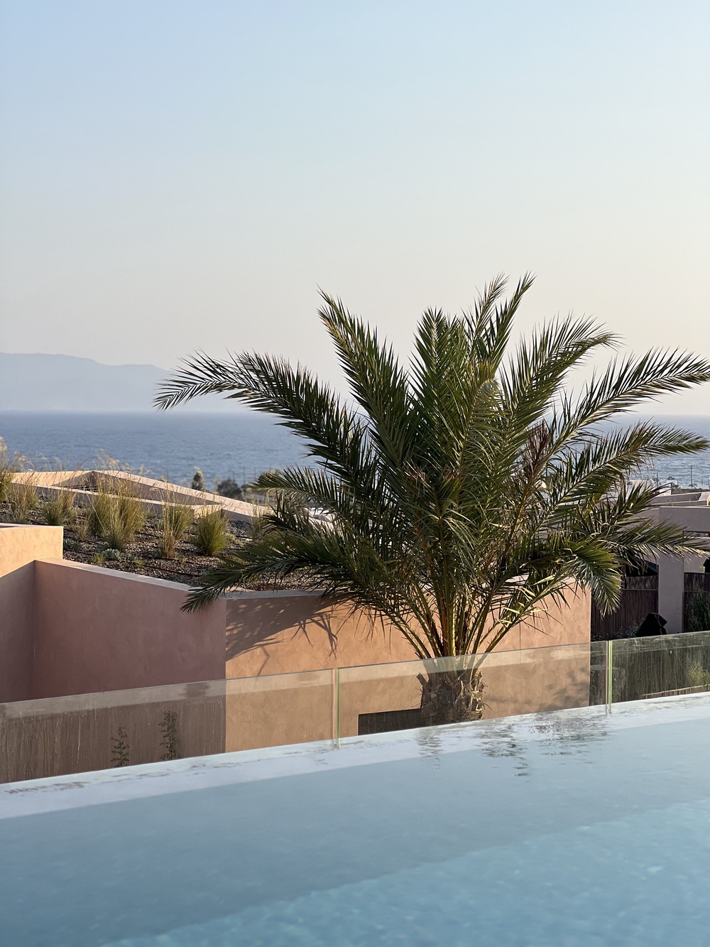 Sea view and palm tree from the pool at Domes Novos Santorini