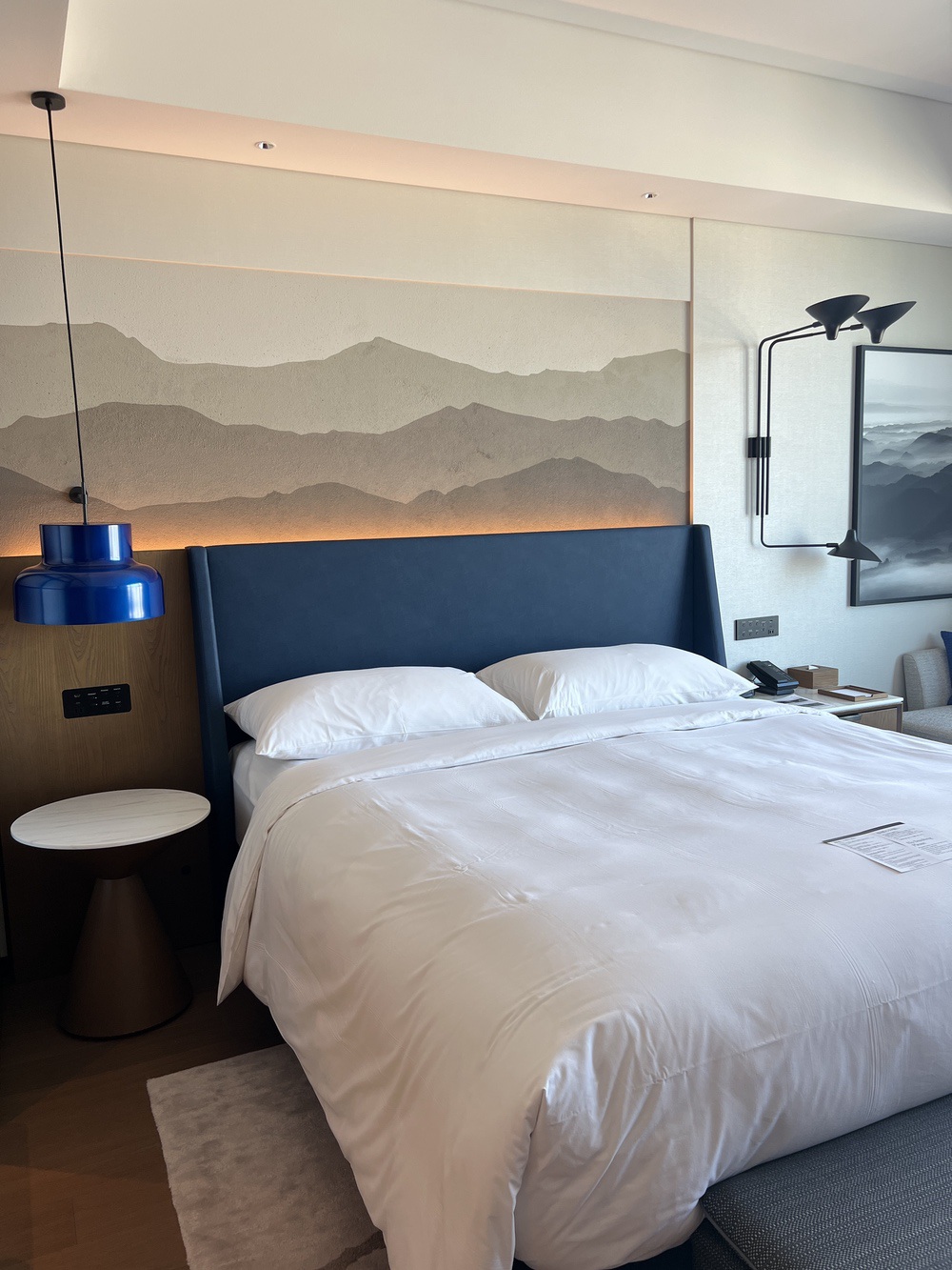 Tête de lit et fresque de montagnes dans la chambre Club King