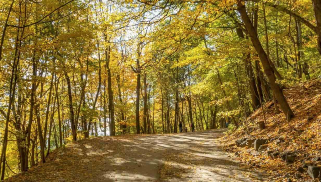 hiking Mont Royal Montreal