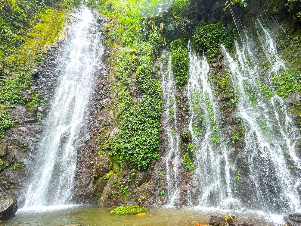Chute d'eau dans la forêt de nuages de Monteverde, Costa Rica