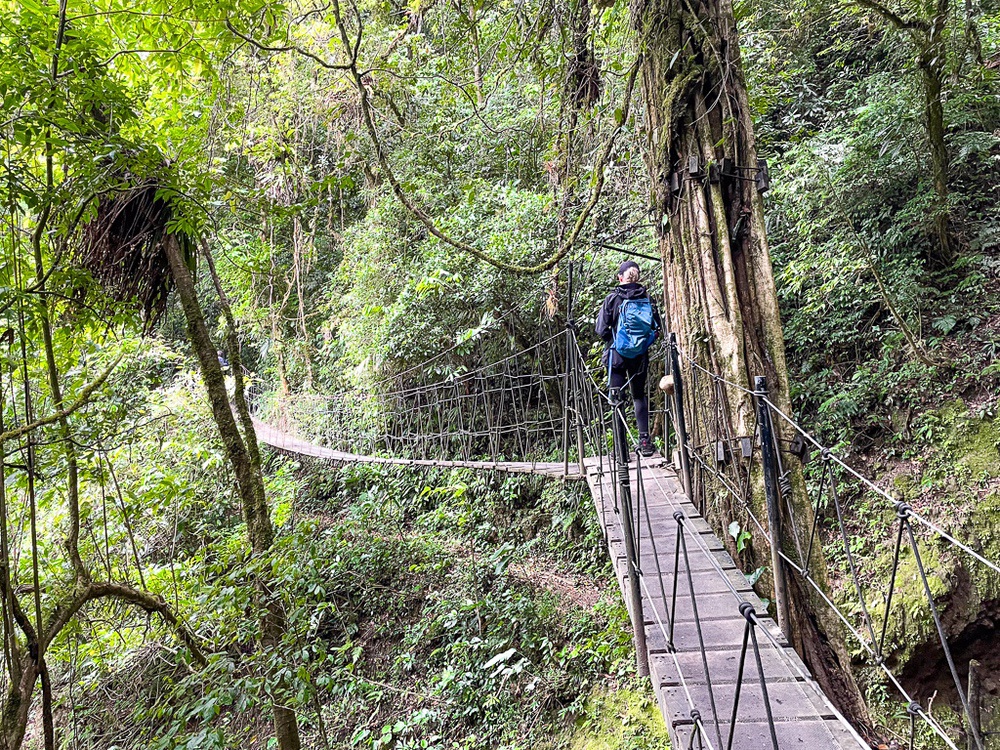 Randonneur sur un pont suspendu dans la canopée près de Monteverde