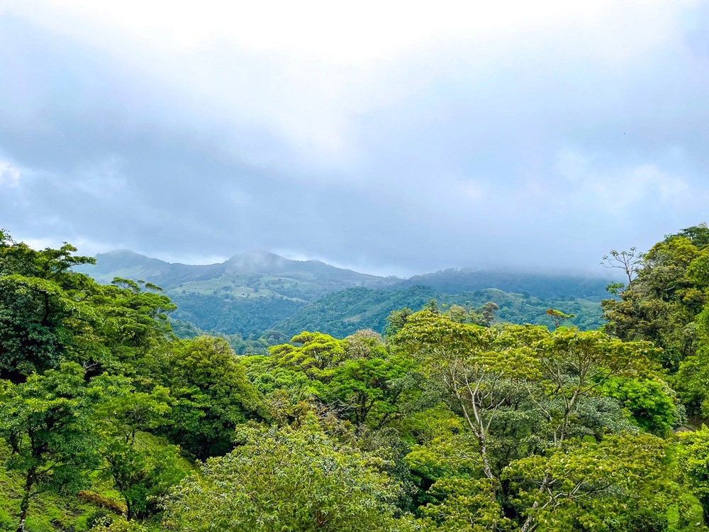 Vue panoramique sur la forêt de nuages de Monteverde, Costa Rica