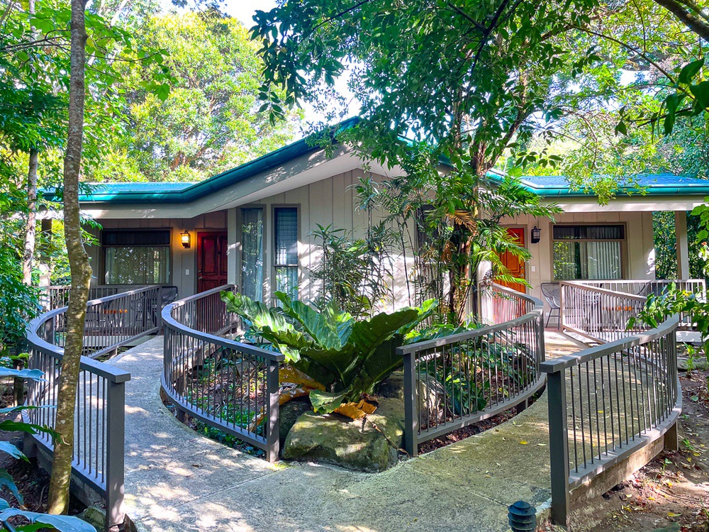 Bungalow du Senda Monteverde dans la forêt de nuages