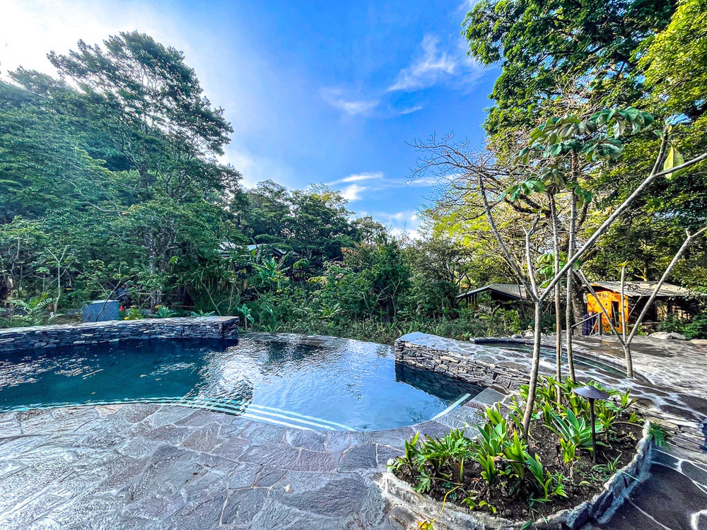 Piscine à débordement du Senda Monteverde entourée de forêt tropicale